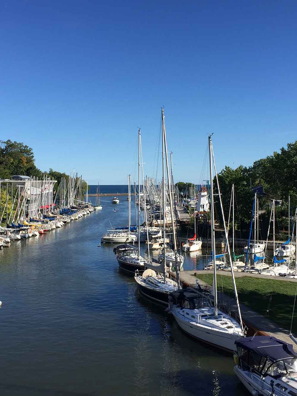 Read more about the article Oakville